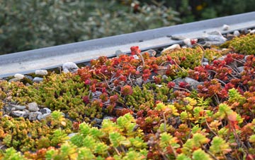 the cost of Cranes Corner green roof installation