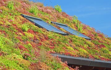 Cranes Corner living roof systems